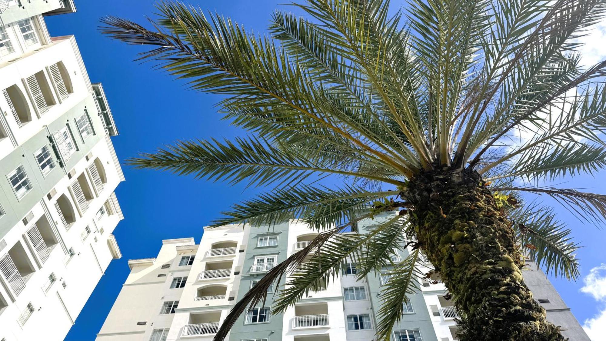 The Point Hotel & Suites Universal Orlando Exterior foto